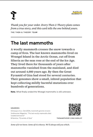 The back of the story card: “The last mammoths”, the story, sources and a code.
