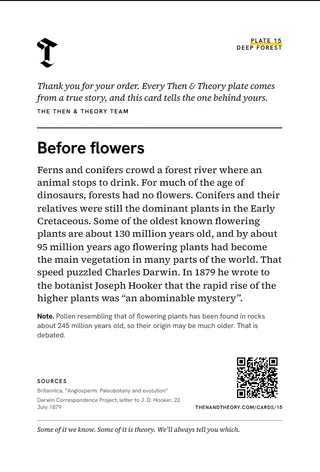The back of the story card: “Before flowers”, the story, sources and a code.