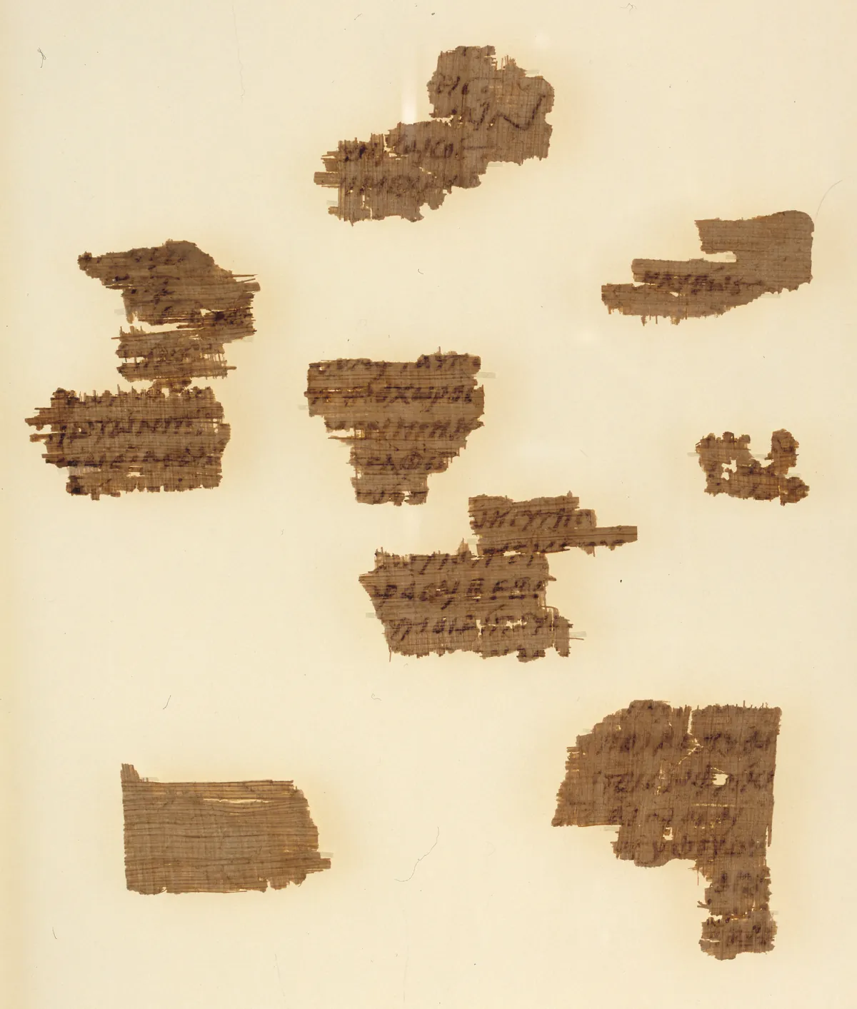 Nine torn fragments of papyrus on a pale mount, with lines of Greek written in dark ink: pieces of a copy of Sophocles' Oedipus the King.