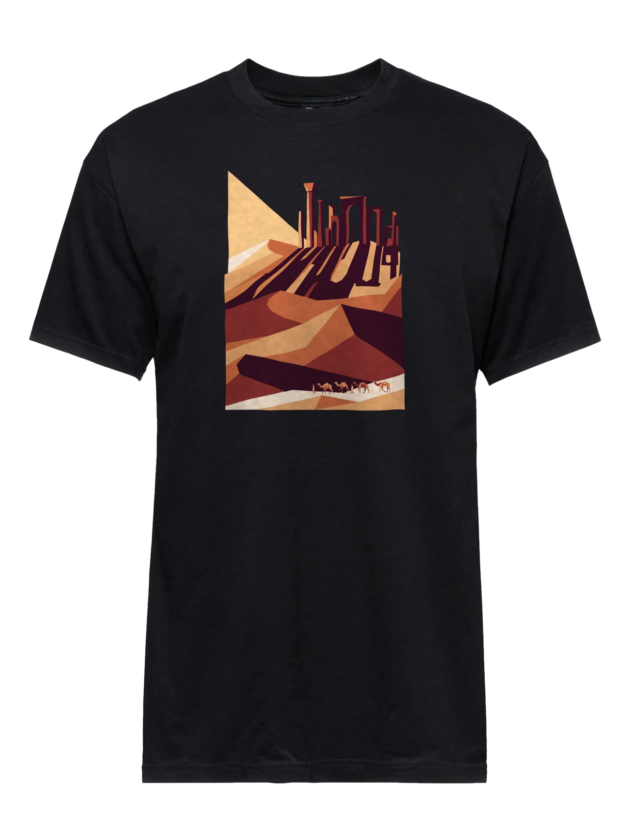 T-shirt in black with plate 05, Desert Ruins, printed on the front.