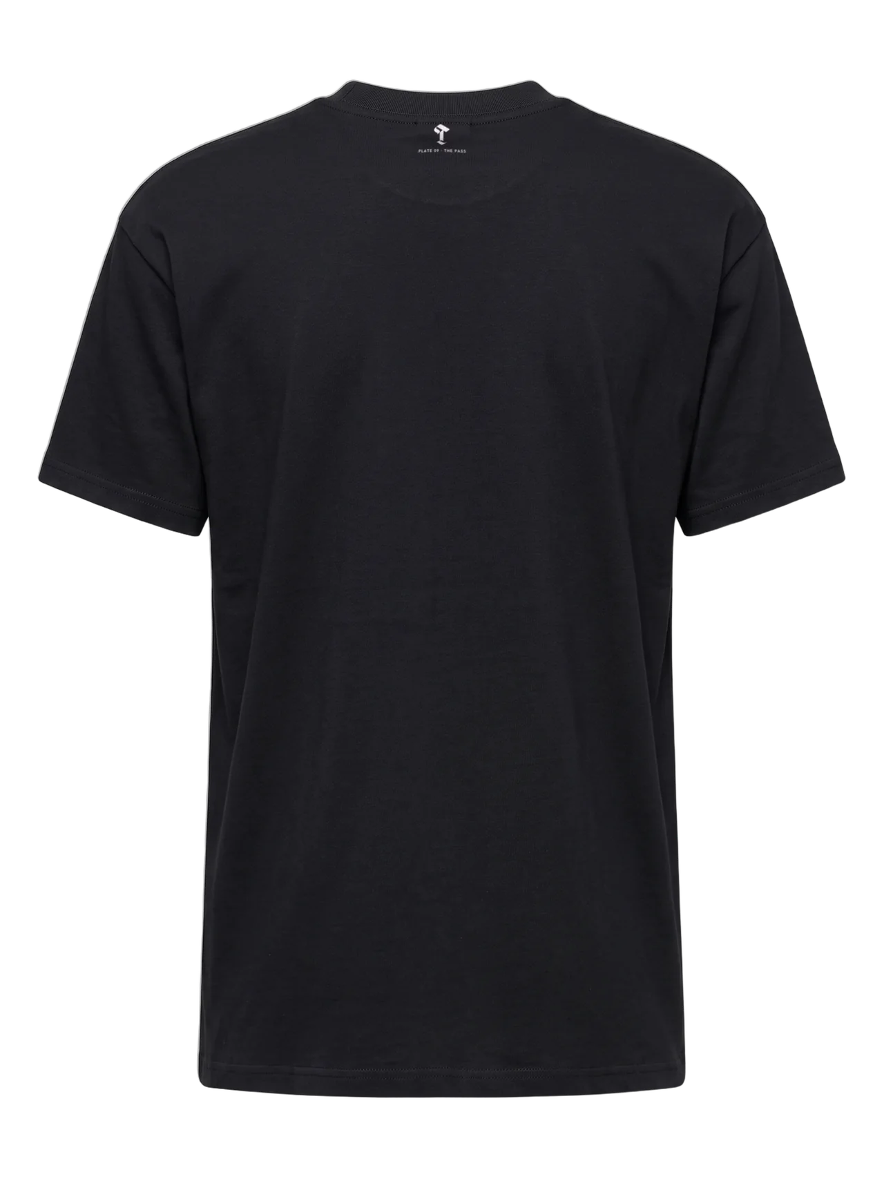 Back of the t-shirt: the Then & Theory T and "Plate 09 · The Pass" printed small below the collar.