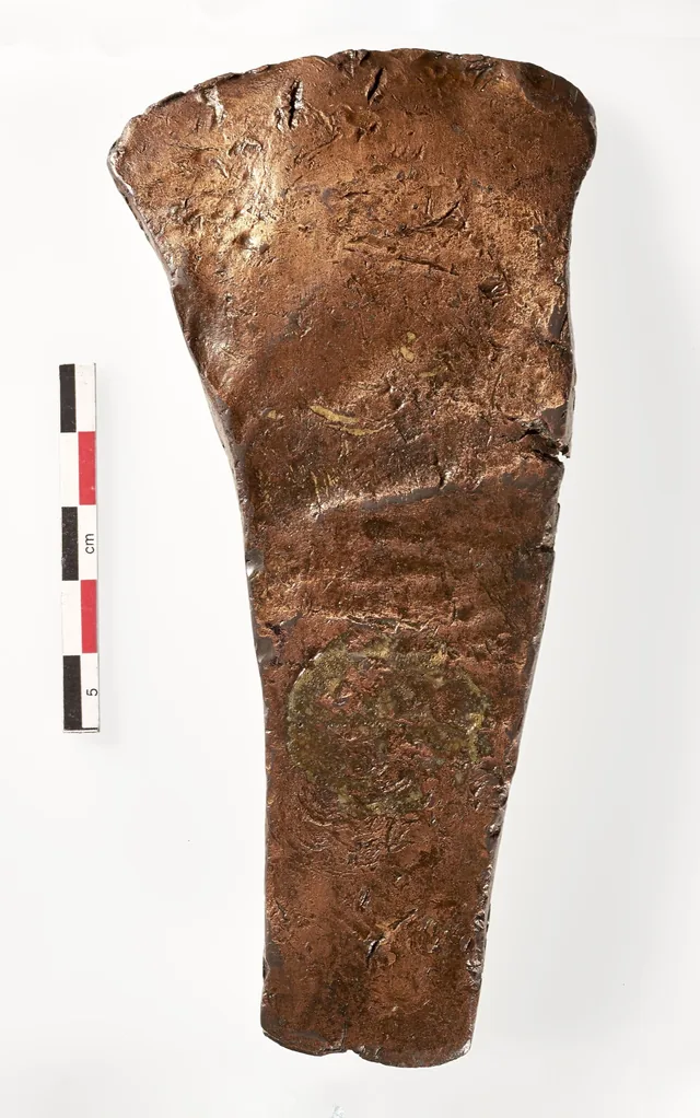 A flat copper axe blade photographed from above on white, widening from a narrow butt to a broad cutting edge, its surface dented and scratched, with a centimetre scale beside it.